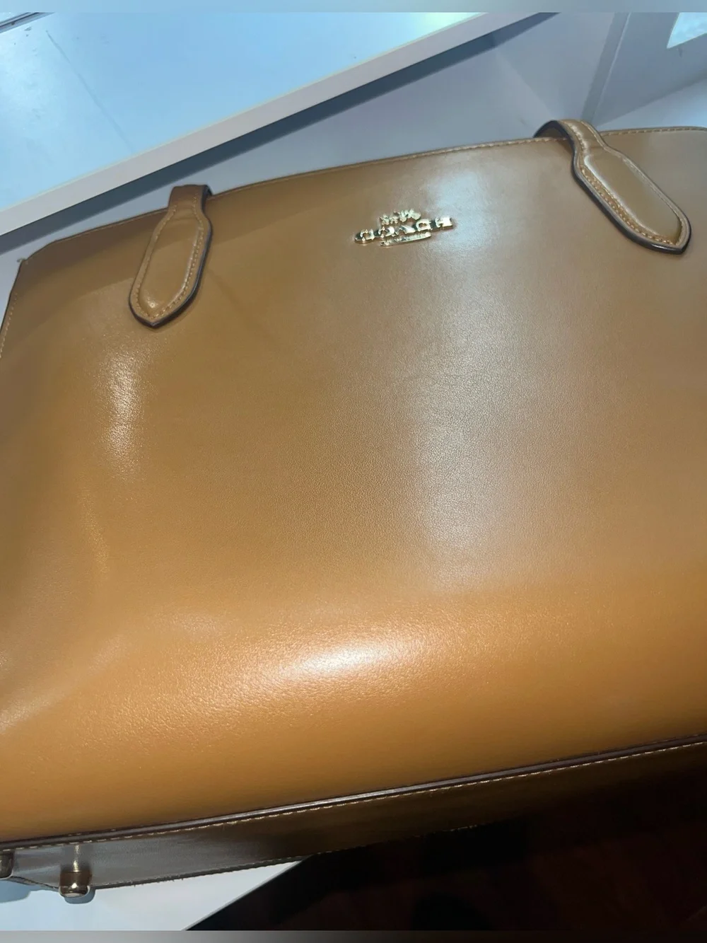 Coach Nina Carryall Tote